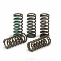 CLUTCH SPRINGS, KX450F '06-20