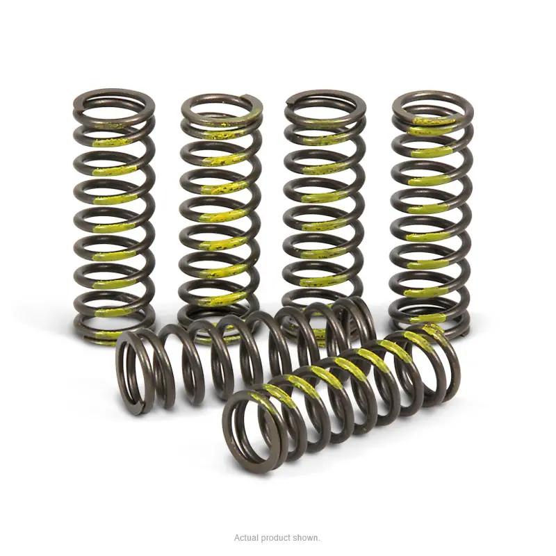 CLUTCH SPRINGS, RMZ450 '05-25