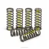 CLUTCH SPRINGS, RMZ450 '05-25