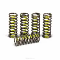 CLUTCH SPRINGS, RMZ250 '07-25