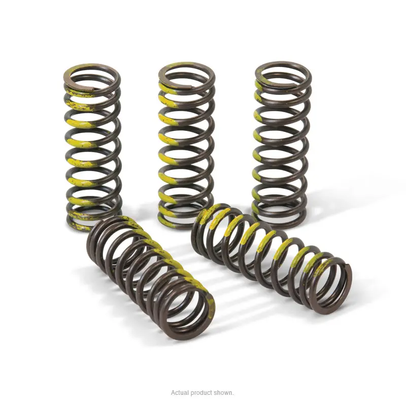 CLUTCH SPRINGS, RM85 '02-17