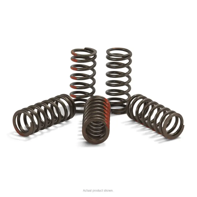 CLUTCH SPRINGS, KTM250SX-F '09-12