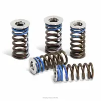 VALVE SPRING KIT, YZ250F '10-13