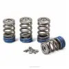 VALVE SPRING KIT, YZ250F 19-24