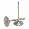 TITANIUM INTAKE VALVES, KX450F '06-08