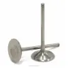 TITANIUM INTAKE VALVES, KLX450R '08