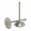 TITANIUM INTAKE VALVES, RMZ450 '07