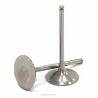 TITANIUM INTAKE VALVES, RMZ450 '07