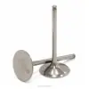 TITANIUM INTAKE VALVES, RMZ450 '08-25