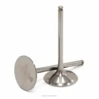 TITANIUM INTAKE VALVES, RMZ450 '08-25