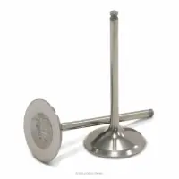 TITANIUM INTAKE VALVES, RMZ450 '05-06
