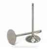TITANIUM INTAKE VALVES, RMZ250 '16-25