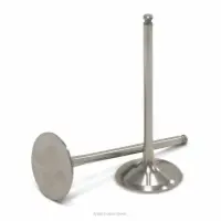 TITANIUM INTAKE VALVES, RMZ250 '07-15