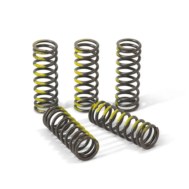 Clutch Springs