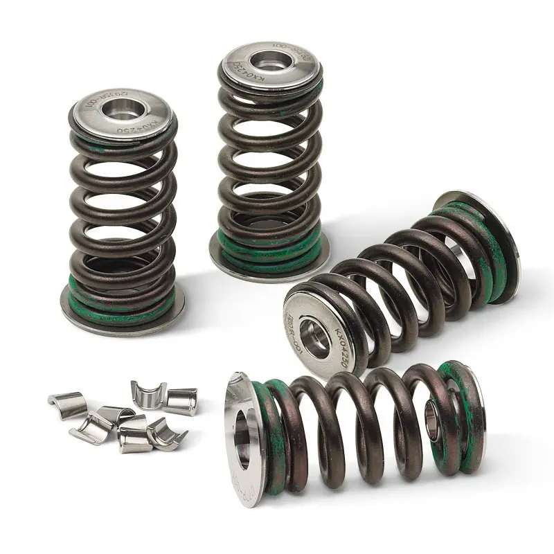 VALVE SPRING KIT, KX250F '04-14, RMZ250 '04-06