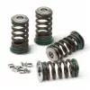 VALVE SPRING KIT, KX250F '04-14, RMZ250 '04-06