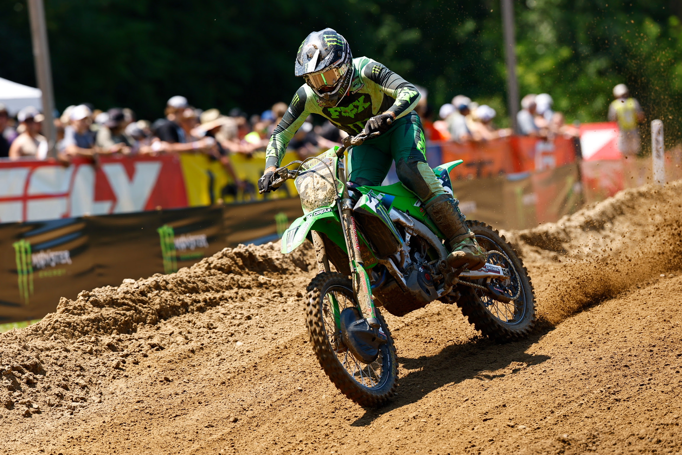 rider image