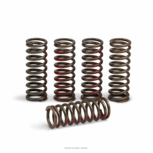 CLUTCH SPRINGS, CRF250R/RX 2020