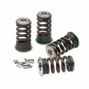 VALVE SPRNG KIT CRF450 07-08