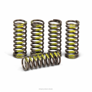 CLUTCH SPRINGS, RMZ250 '07-25
