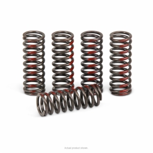 CLUTCH SPRINGS, CRF250R '10-17