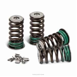VALVE SPRING KIT, KX250F '04-16