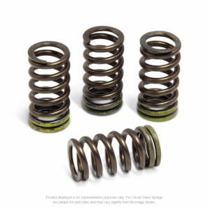 VALVE SPRINGS, RMZ450 '05-07