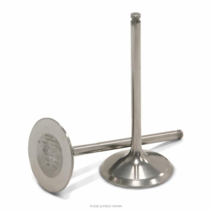 TITANIUM INTAKE VALVES, RMZ450 '05-06