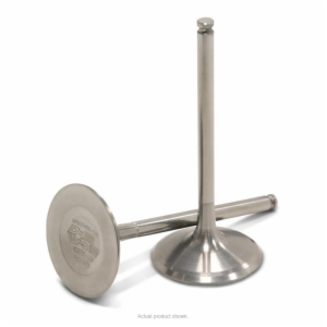TITANIUM INTAKE VALVES, RMZ450 '07