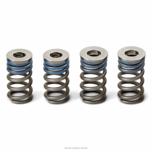 VALVE SPRINGS, YZ250F '17-18