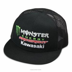 PRO CIRCUIT/MONSTER MESH SNAPBACK TEAM HAT